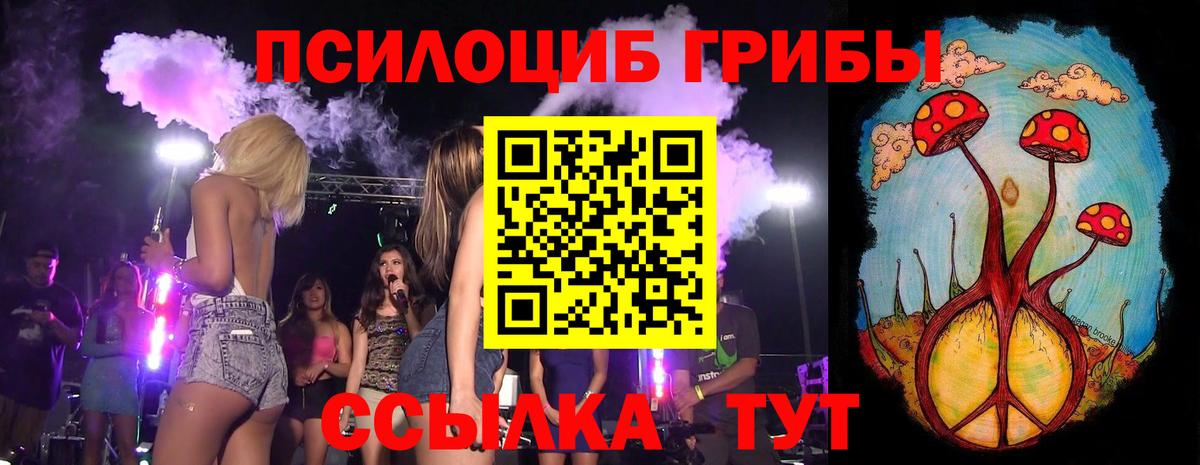 Псилоцибиновые грибы GOLDEN TEACHER Камышин