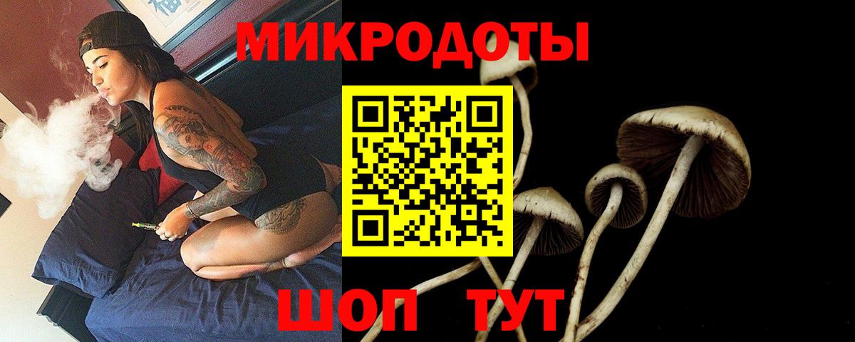 Галлюциногенные грибы Psilocybine cubensis  Галлюциногенные грибы ЛСД  Камышин  Вход с VPN 